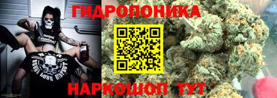мет Дубна