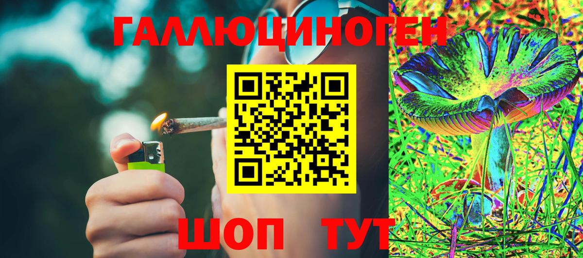 Галлюциногенные грибы MAGIC MUSHROOMS  Вход с VPN  дарнет шоп  Зерноград 