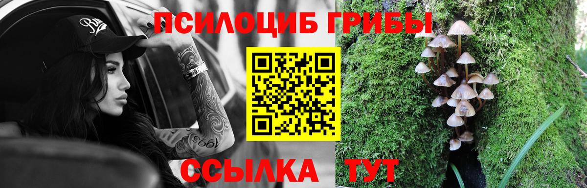 Псилоцибиновые грибы мицелий Зерноград